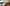 Carpe Novo Liveaboard Maldives 5