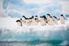 Antarctica expedition voyages 10