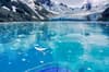 South Georgia South Sandwich Islands 3