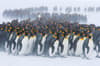 South Georgia South Sandwich Islands 6
