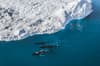 Greenland 2