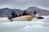 Sv albard Jan Mayen Island 10