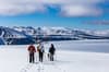 Sv albard Jan Mayen Island 9
