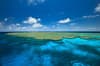 Lizard Island Diving 4