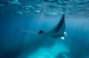 Ningaloo Reef Exmouth Western Australia Scuba Diving 6