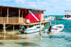 Ambergris Caye Caulker Belize Scuba Diving 7