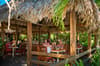 Steve Beckys Belize 17