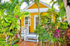 Steve Beckys Belize 2
