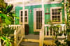 Steve Beckys Belize 8