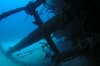 Bonaire Scuba Diving 9