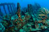 British Virgin Islands Scuba Diving 2
