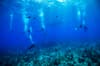 Cayman Brac Little Cayman Scuba Diving