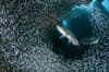 Grand Cayman Scuba Diving 4