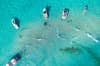 Grand Cayman Scuba Diving
