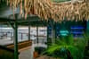 Fort Young Dive Resort 7