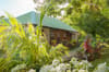 Jungle Bay Resort 13
