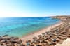 Reef Oasis Beach Resort 2
