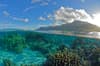 Tahiti Moorea French Polynesia Scuba Diving 10