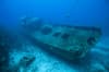 Roatan Honduras Scuba Diving 3