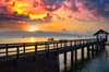 Spice Island Divers Ambon 4