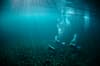 Tulamben Bali Indonesia Diving Liberty 2