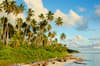 Sangalaki Derawan Maratua Indonesia