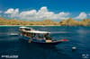 Scuab Junkie Komodo Resort 4