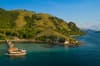 Scuab Junkie Komodo Resort