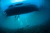 Bunaken Sulawesi Indonesia Scuba Diving 3