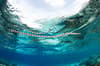 Wakatobi Indonesia scuba diving 6