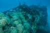 Cenderawasih Bay Papua Indonesia Diving 5