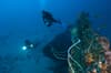 Cenderawasih Bay Papua Indonesia Diving 9