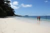 Dive Into Raja Ampat Indonesia 4