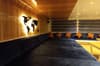 Alia Dune Liveaboard Red Sea 13