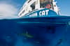 All Star Aqua Cat Liveaboard Bahamas 3