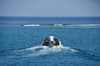 Almonda liveaboard 18