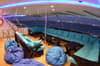 Almonda liveaboard 8