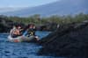 Alya liveaboard Galapagos 35