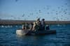 Alya liveaboard Galapagos 43