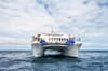 Archipel I liveaboard Galapagos 10