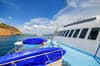 Archipel I liveaboard Galapagos 11