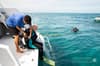Belize Aggressor V Liveaboard 12