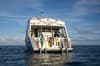 Belize Aggressor V Liveaboard 13