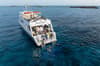 Belize Aggressor V Liveaboard 2