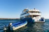 Calipso Galapagos Liveaboard