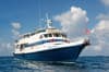 Caribbean Explorer II