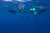 Conscious Breath Adventures 9