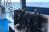 Dune Black Manta Liveaboard 20