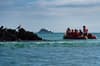 EcoGalaxy liveaboard Galapagos 34