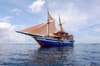 EcoXplorer Liveaboard 8